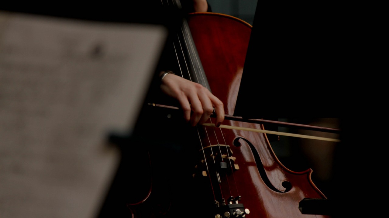 violoncelo