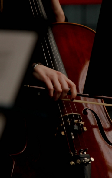 violoncelo