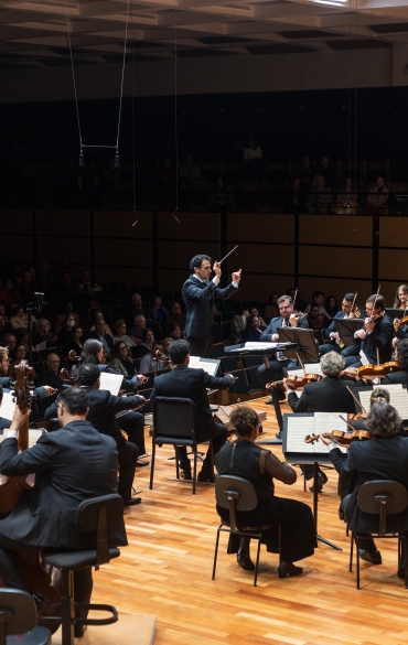 Sinfonia Concertante
