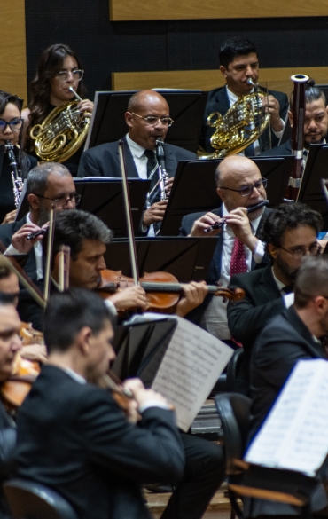 
A imagem mostra uma orquestra em apresentação, com foco nas seções de sopros e cordas. Na fileira de trás, músicos tocam instrumentos de sopro, como trompas, clarinetes e flautas, enquanto na frente, violinistas e outros músicos de cordas tocam com atenção voltada para as partituras. Todos os músicos estão vestidos de forma formal, com ternos escuros e alguns usando gravatas. Eles estão concentrados em seus instrumentos, criando uma atmosfera de seriedade e dedicação. Ao fundo, alguns instrumentos de madeira, como o fagote, também são visíveis. A disposição sugere um momento de sincronia e harmonia em uma apresentação ao vivo.